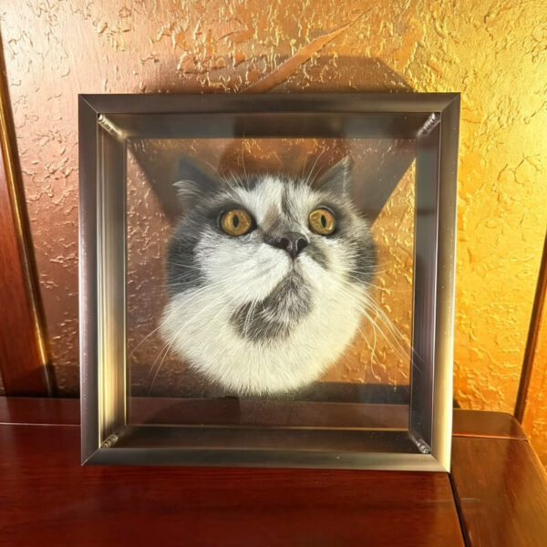 Custom Hand-Carved Multi-Layer 3D Pet Portrait
