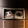 Custom Hand-Carved Multi-Layer 3D Pet Portrait