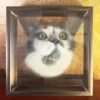Custom Hand-Carved Multi-Layer 3D Pet Portrait